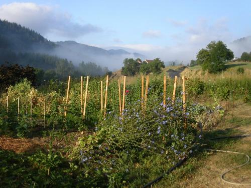Agroturismo Gite Deux-eaux