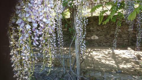 Bed & Breakfast Le Mercou En C�vennes