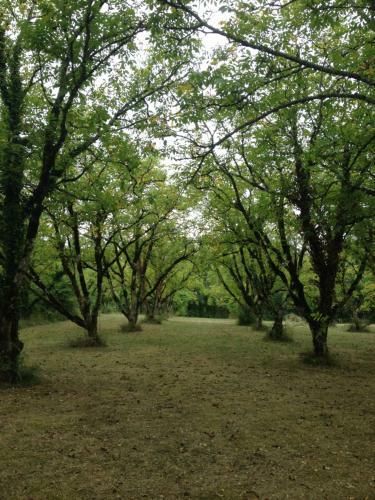 Hostal Domaine Du Bouysset