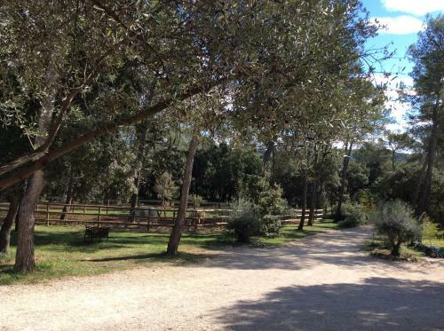 S�jour Pic Saint Loup