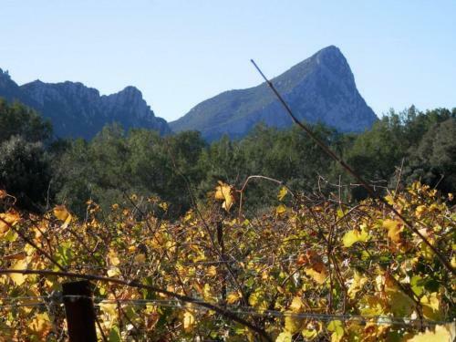 S�jour Pic Saint Loup
