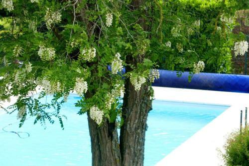 Bed & Breakfast La Ferme D'aigurolles