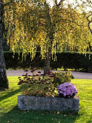 Bed & Breakfast La Ferme D'aigurolles