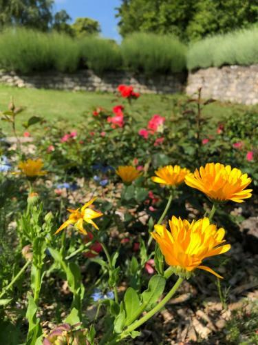 Bed & Breakfast La Ferme D'aigurolles