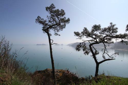 Bed & Breakfast La Haute Flourie