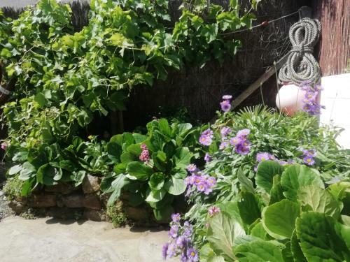 Maison De P�cheur, 160 M�tres De La Plage Du Sillon