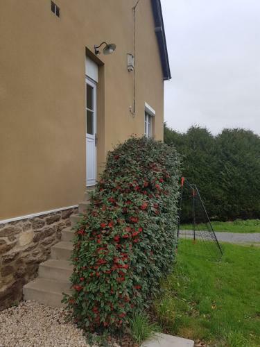 Apartamento Belle Malouine