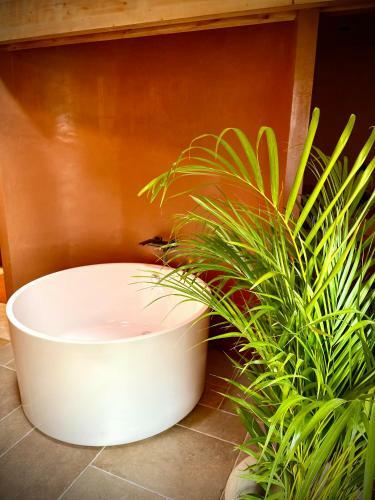 Bed & Breakfast Villa Louisa