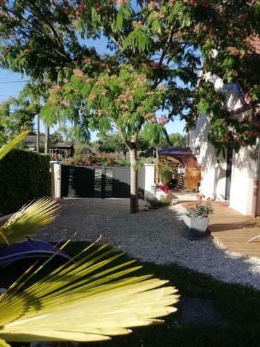 G�te L'albizia 3 �pis