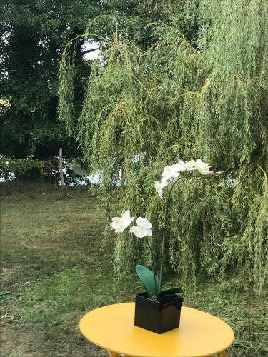 Chez Franck Maison Bord De Rivi�re
