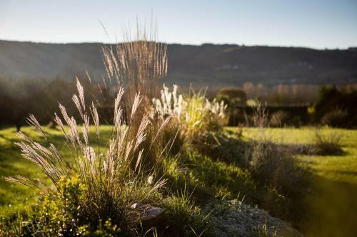 Bed & Breakfast La Bruyle - Chambre D'h�tes De Charme
