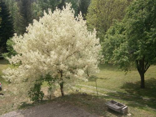 Apartamentos G�te Valescure