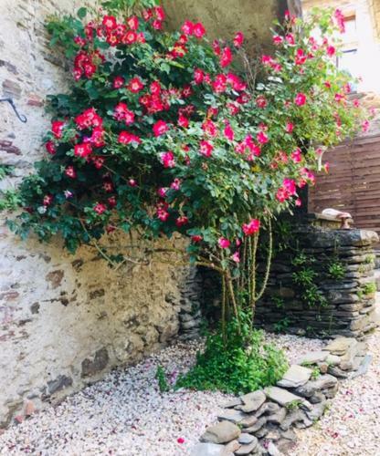 Apartamentos G�te Valescure