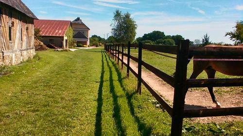 B&B Haras De La Cour Fleury