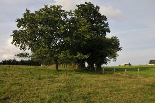 Maison De Famille Rustique Dur�e De Location 7 Jours Minimum