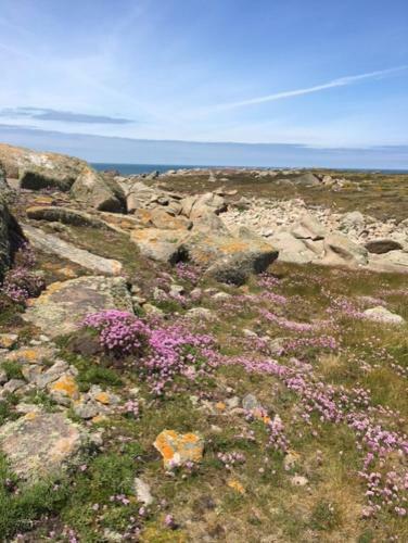 Apartamento Belle Vue Sur Mer