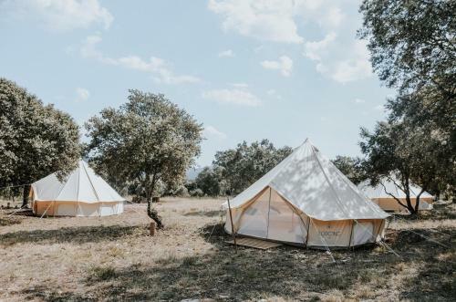 Lodg'ing Nature Camp Luberon