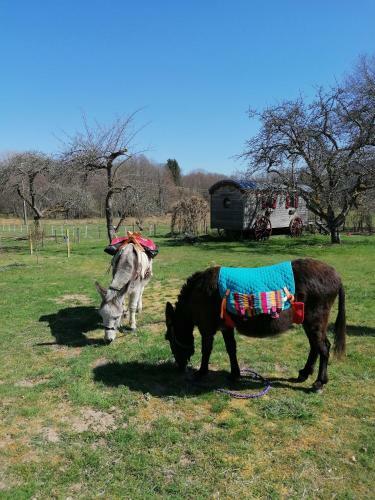 Bed & Breakfast Roulotte Le Temps De Rever