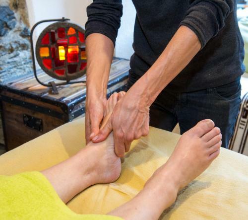 G�te La Chamoussi�re