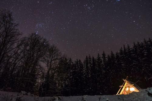 Cabane De Davy Crockett
