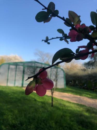 Bed & Breakfast Le Clos Du C�dre
