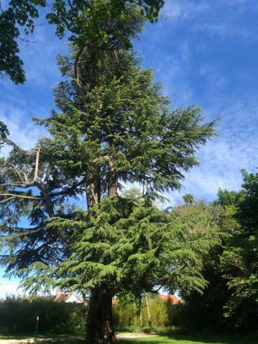 Bed & Breakfast Le Clos Du C�dre