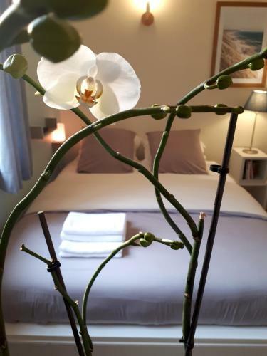 Apartamentos Le Coquet
