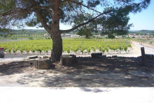 Le Petit Mas Du Vign�