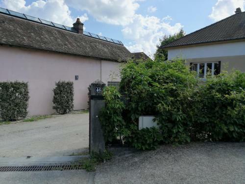 Hostal Un Verger Dans La Ville