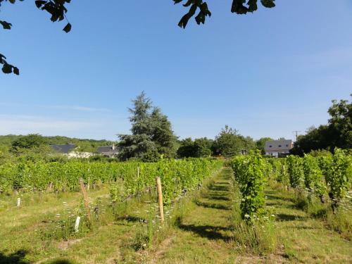 Hostal Le Clos Des B�rengeries