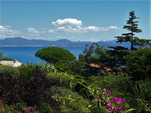 Villa La Dunette