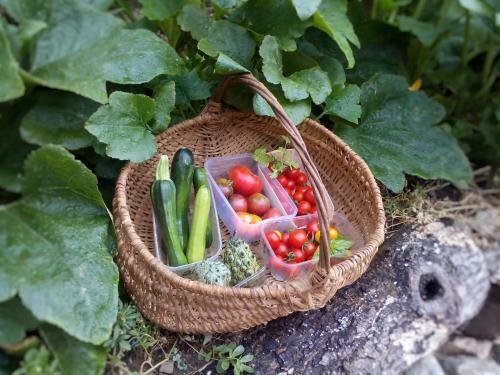 Agroturismo Ferme De Samson