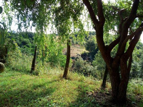 Agroturismo Ferme De Samson