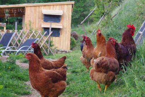Agroturismo Ferme De Samson