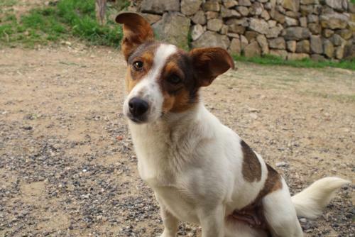 Agroturismo Ferme De Samson