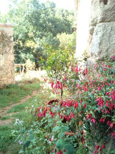Agroturismo Ferme De Samson
