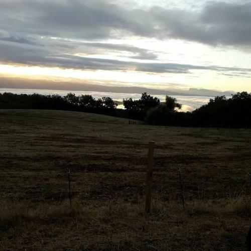 G�te Les Cadichons De La Grange