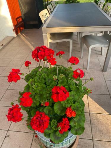 Bed & Breakfast Ilargi Argi