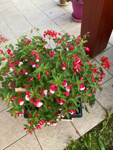 Bed & Breakfast Ilargi Argi