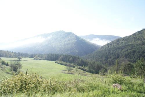 Romantic-louveteaux-en-provence****