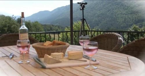 Romantic-louveteaux-en-provence****