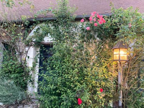 Bed & Breakfast Villa Nymphea