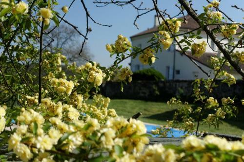 Bed & Breakfast Bois De Cad�ne