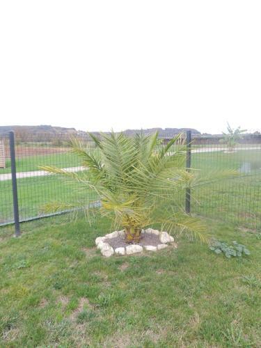 Le Domaine Vesque.le Cosy