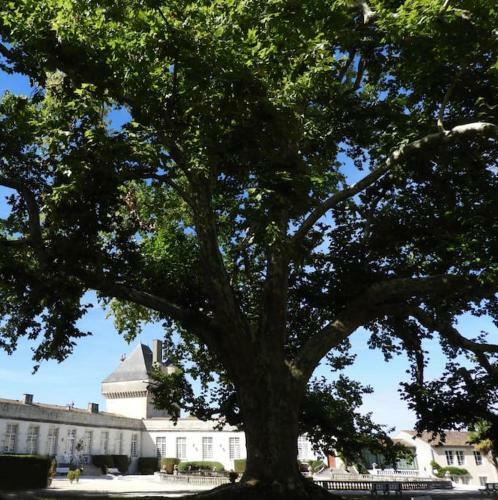 Apartamento Un S�jour D'exception Au Logis Du Ch�teau