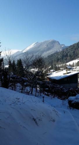 Apartamento Studio Chamechaude