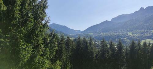 Chalet L'alpe