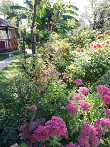 Bed & Breakfast Les Petites Chapelles