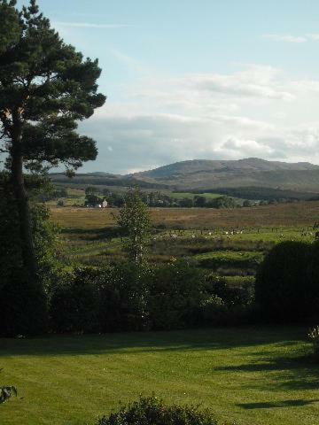Netherdene Country House Bed & Breakfast