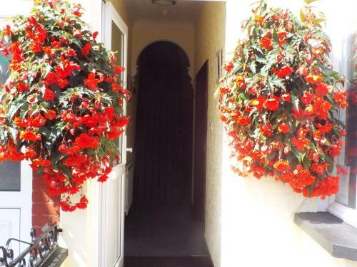 Hostal Maluth Lodge